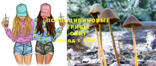 индика Алексеевка