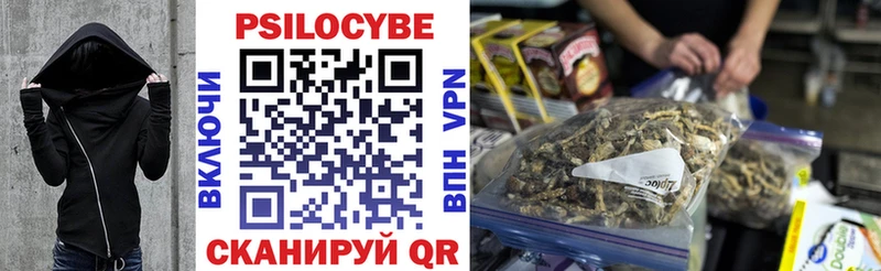 купить наркоту  Ноябрьск  Галлюциногенные грибы Psilocybine cubensis 
